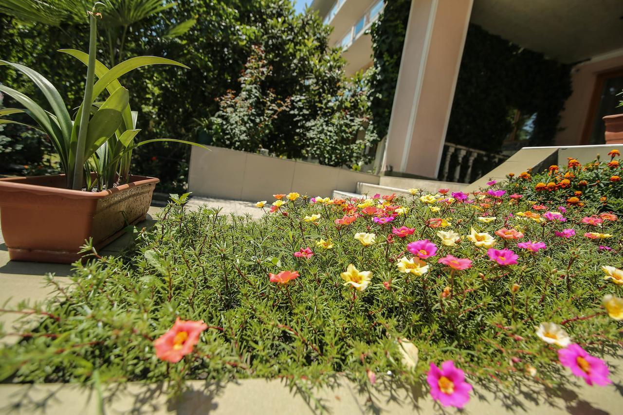Zaqatala Hotel Εξωτερικό φωτογραφία